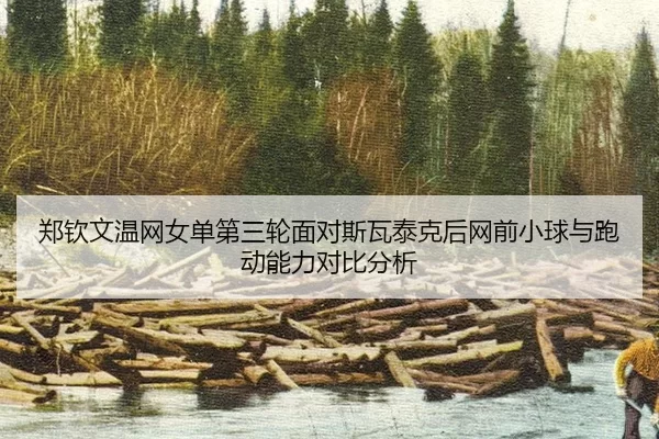 zheng-qin-wen-wen-wang-nv-dan-di-san-lun-mian-dui-si-wa-tai-ke-hou-wang-qian-xiao-qiu-yu-pao-dong-neng-li-dui-bi-fen-xi-2-752.jpg